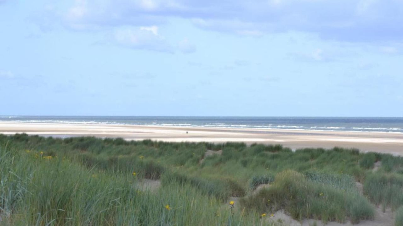 AreaSummer1KM AreaSummer1KM